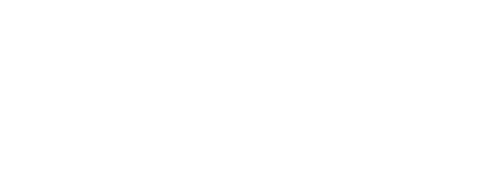 Petty Construction Logo WHITE